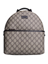 mini backpack, front view